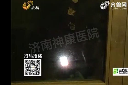 ����Ѿ���ˤ���������ĸ�׵�53�ꡰ�ƻ�����